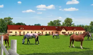 Ile kosztuje budowa stajni? Oszczędź nawet 30% na inwestycji