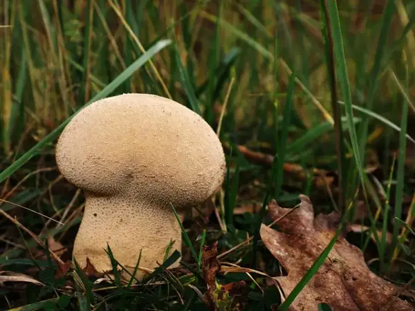 Ile worków zaprawy zmieści się na palecie? Praktyczny poradnik budowlańca